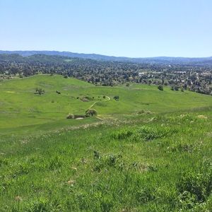 Meet your Posher, Travis